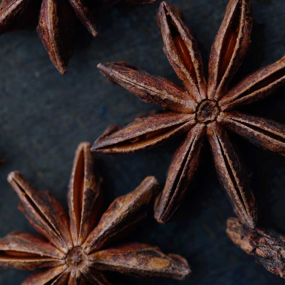 picture of anise spice