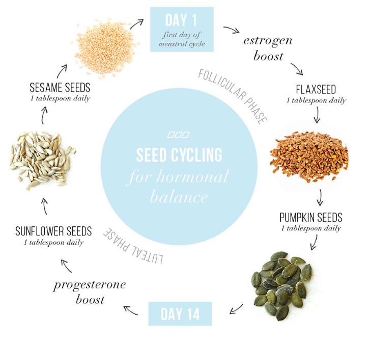 seed-cycling-picture-PMS